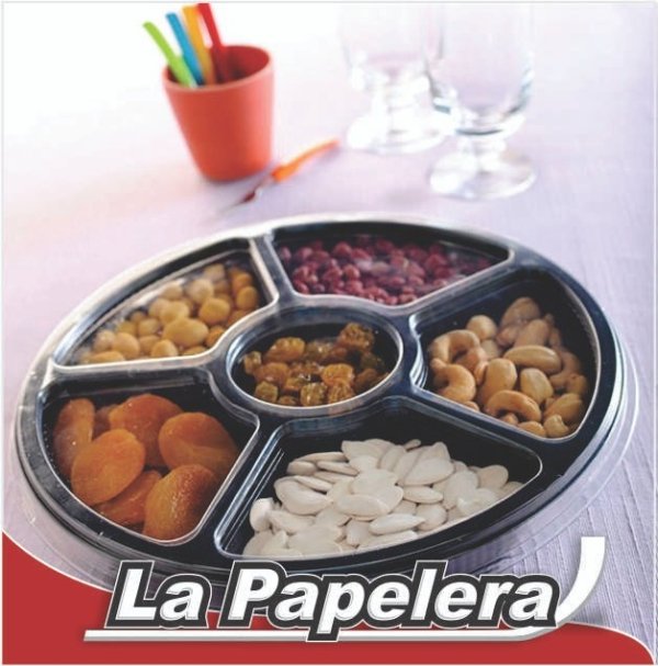 GVT BANDEJA 6 DIV. C/TAPA G550 235X40 (2838)