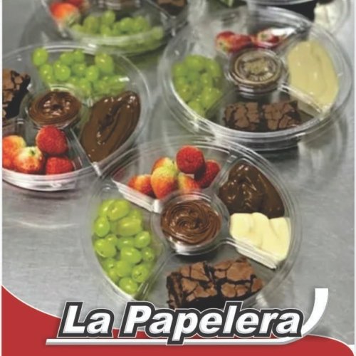 GVT BANDEJA 4 DIV. C/TAPA G540 198X40 (2892)