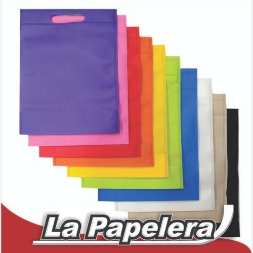 BOLSO FRISELINA RIÑON 22X30 LISA (COLORES) (3732)