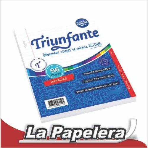 REPUESTO 3 PERF. TRIUNFANTE RAYADO X 96 HOJAS (3890)