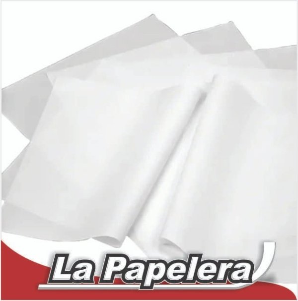 PAPEL SEDA 50x70 BLANCO X HOJA (5354)