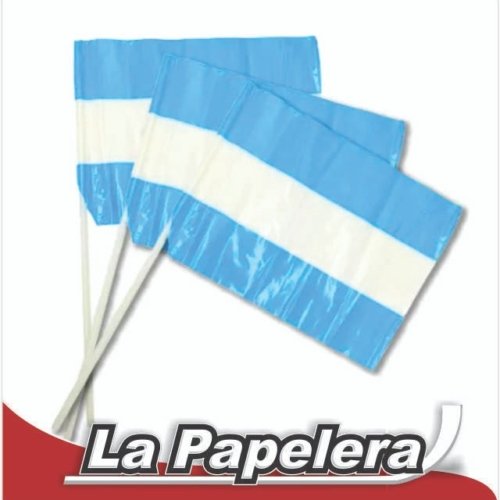 BANDERA ARGENTINA PLAST.35X50 S/SOL (5712)