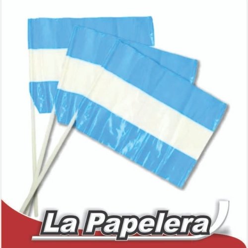 BANDERA ARGENTINA PLAST.20X30 S/SOL (5713)