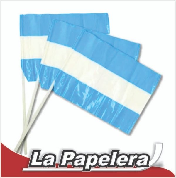 BANDERA ARGENTINA PLAST.20X30 S/SOL (5713)