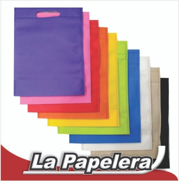 BOLSO FRISELINA RIÑON 15X26 LISA (COLORES) (6316)