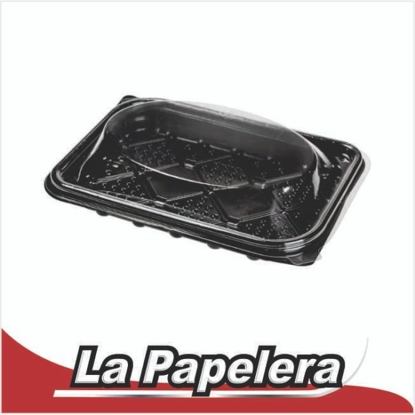 BANDEJA SUSHI C/TAPA BANDEX ART 500 (6493)