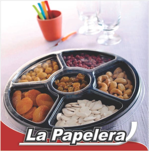 GVT BANDEJA 6 DIV. C/TAPA G550 235X40 (2838)